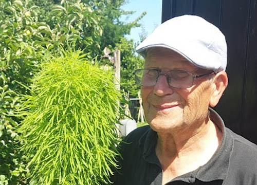 Knuffelplant van Ben