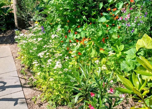 Tuin 96, een transformatie van jewelste
