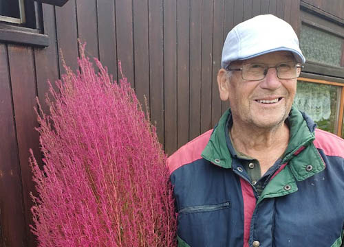 Weet u nog dat groene “knuffelplantje” van Ben?