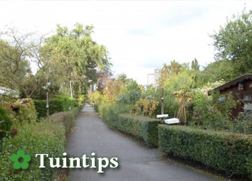 Tuintips