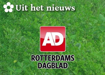 AD Nieuws