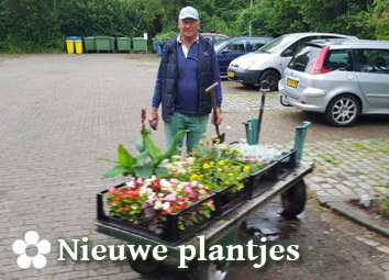 Nieuwe plantjes